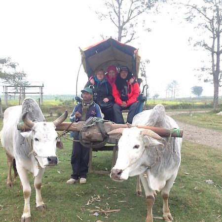 Everest Home Stay Apartment Lalitpur Ngoại thất bức ảnh