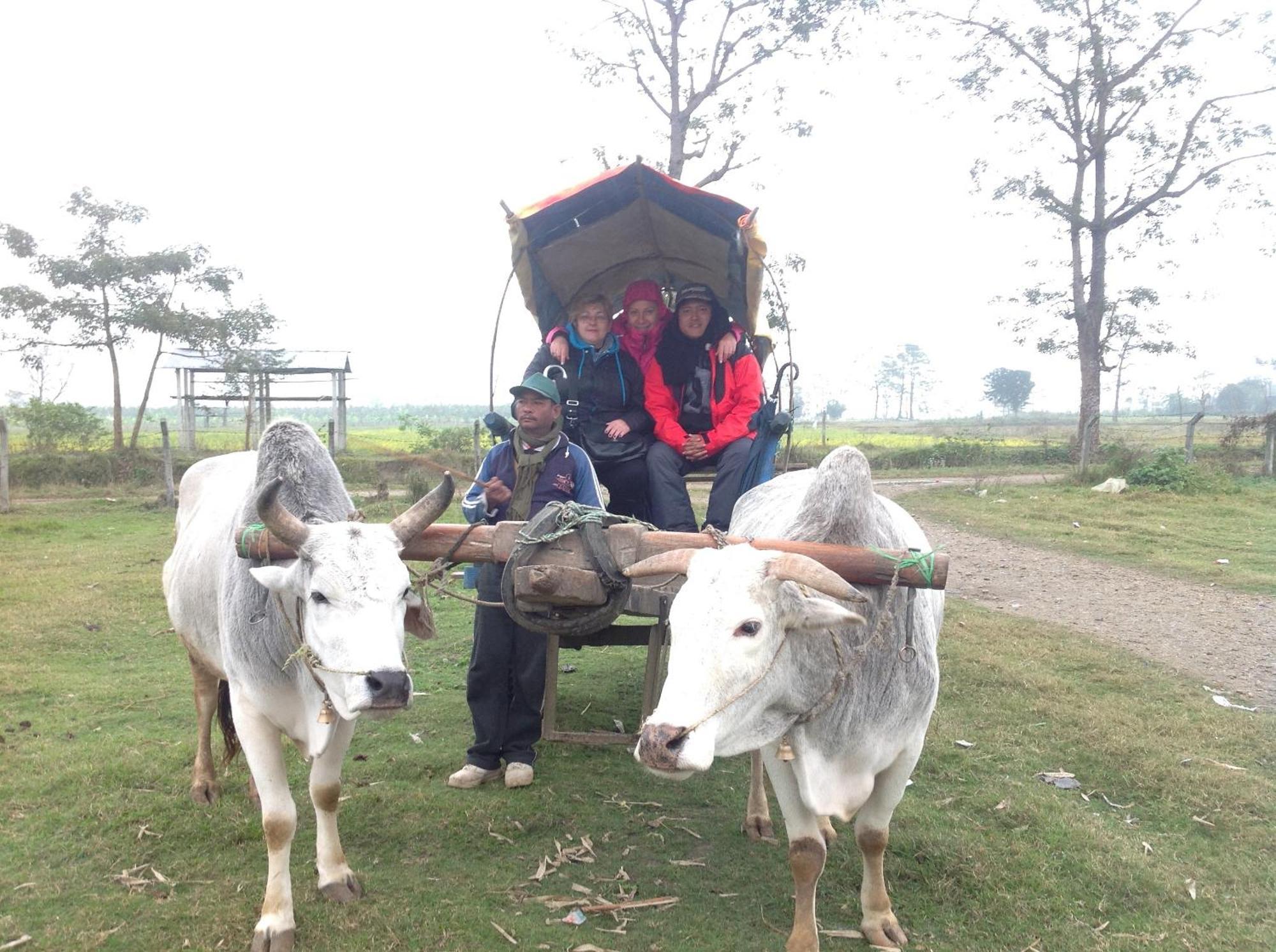Everest Home Stay Apartment Lalitpur Ngoại thất bức ảnh
