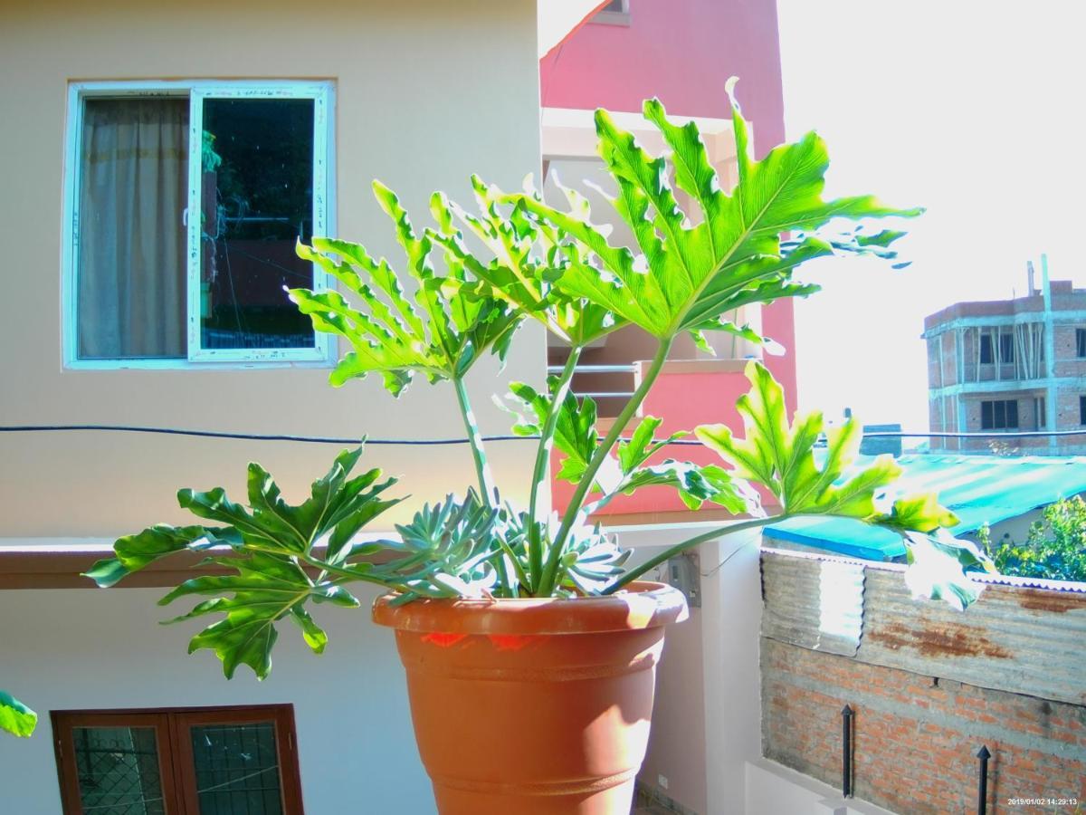 Everest Home Stay Apartment Lalitpur Ngoại thất bức ảnh